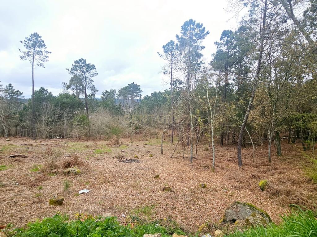 Terreno Construível em Viseu com Vista Panorâmica e Acesso Fácil - Image 5